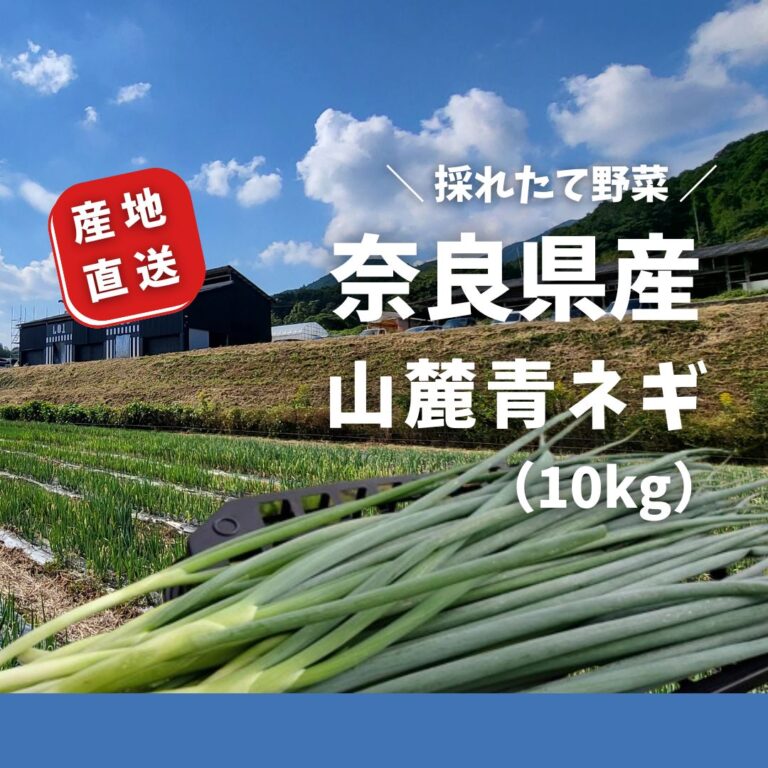 青ネギ 細ネギ 10kg クール便送料込み 引き取りも歓迎 大量ストックに 